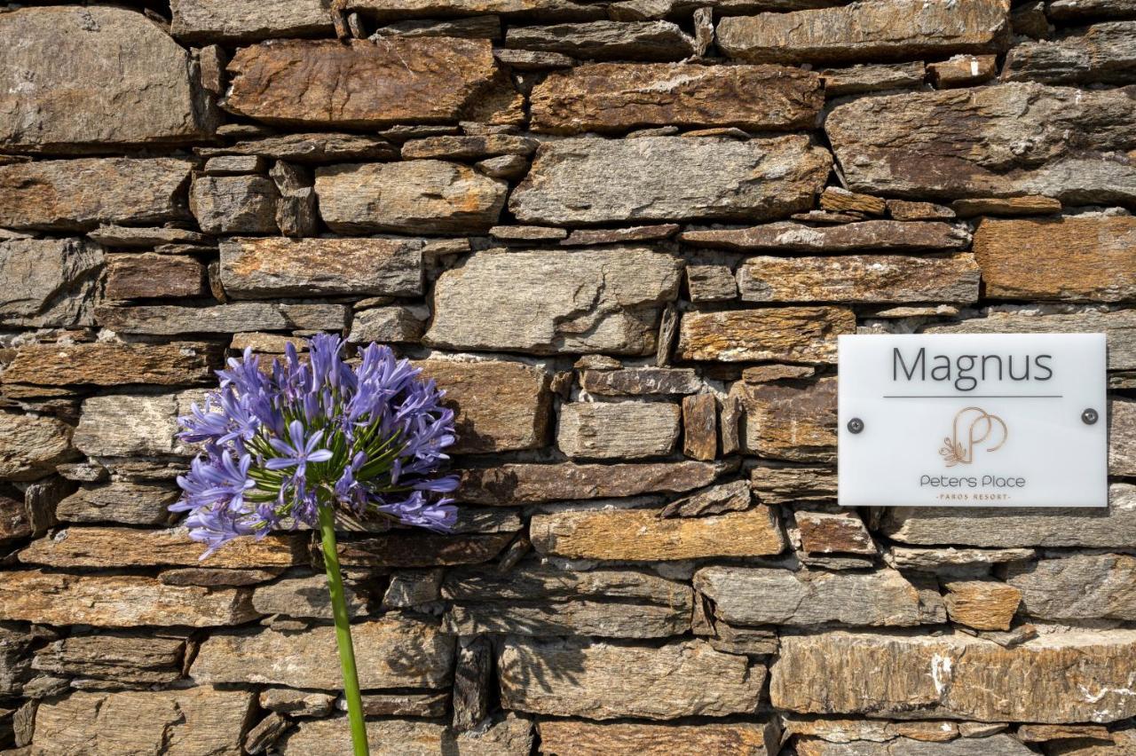 Peters Place - Paros Resort Parasporos Exterior foto